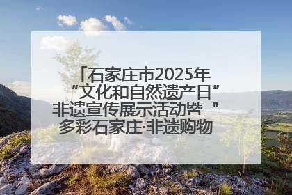 石家庄市2025年“文化和自然遗产日”非遗宣传展示活动暨“多彩石家庄·非遗购物节”倒计时1天